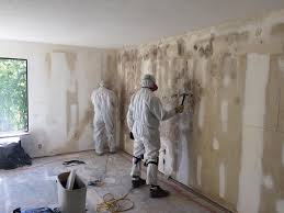  , USA Mold Removal & Remediation Pros